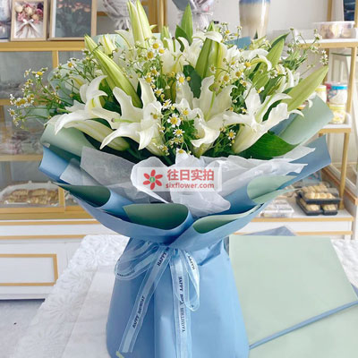 滨州8支白色多头百合洋甘菊,互倾的思念