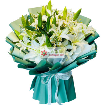 滨州8支白色多头百合洋甘菊，如潮的思念